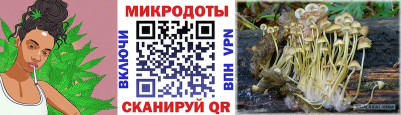 Псилоцибиновые грибы мухоморы  Нахабино 